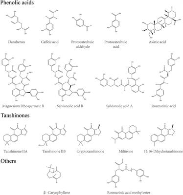 Salvia miltiorrhiza Bge. (Danshen) for Inflammatory Bowel Disease: Clinical Evidence and Network Pharmacology-Based Strategy for Developing Supplementary Medical Application